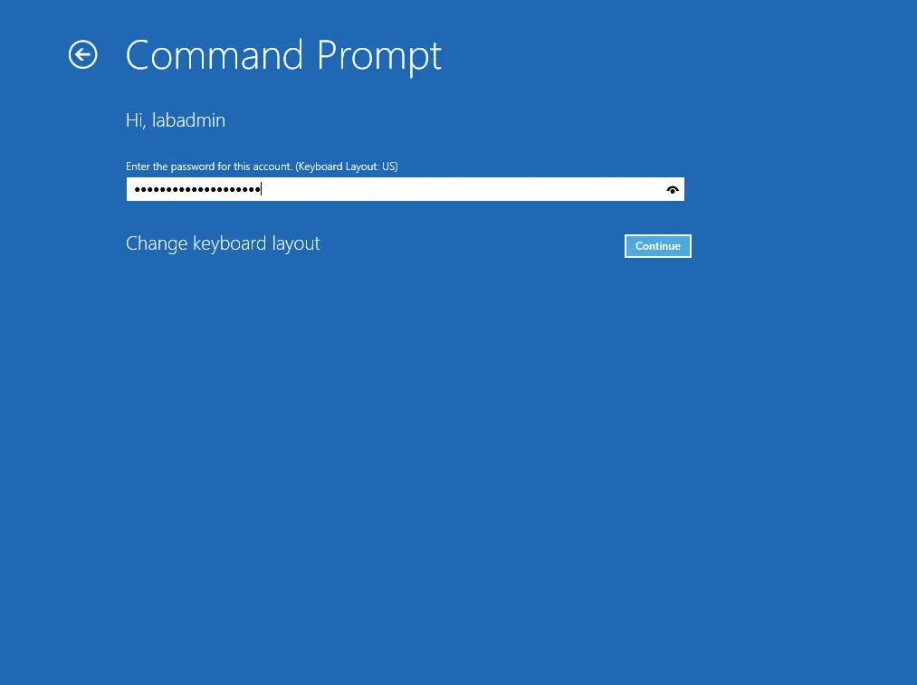 Windows recovery password prompt reading "Hi, labadmin", with the note "Enter the password for this account. (Keyboard Layout: US)" and a Change keyboard layout link.